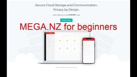 mega nz folder